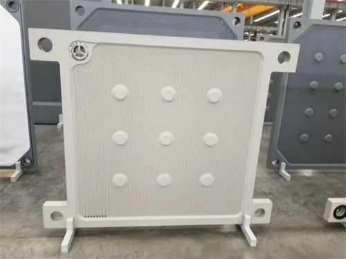 隔膜壓濾機濾板的工作原理和特點是什么?